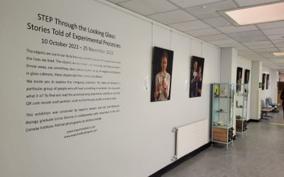 STEP Through the Looking Glass at UHW