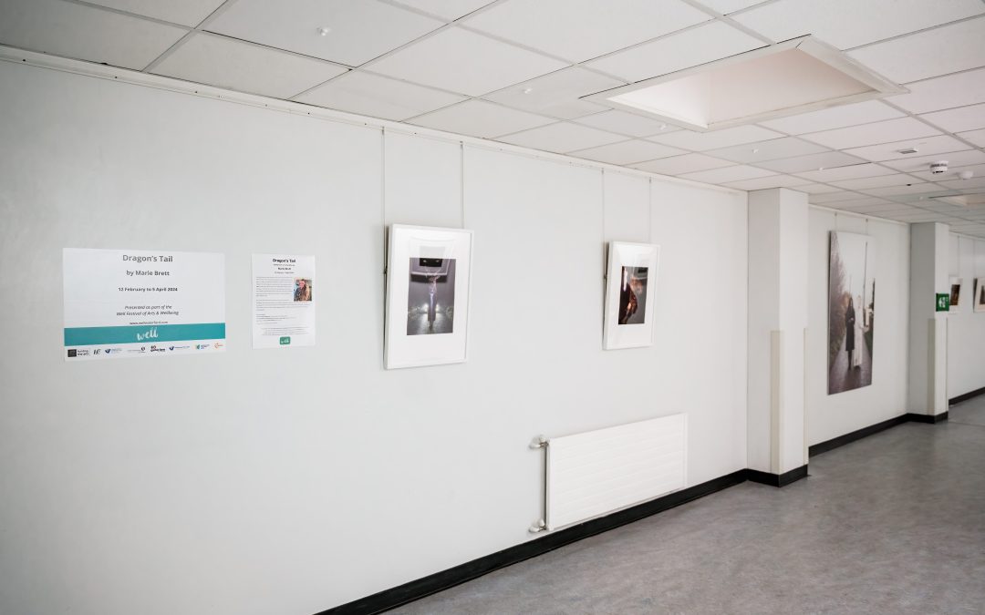 Dragon’s Tail Exhibition at University Hospital Waterford