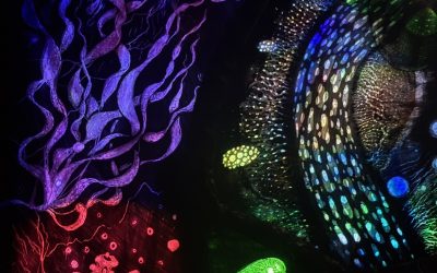 ‘The Grúagach’s Lair’ an exhibition by Rayleen Clancy opens at University Hospital Waterford